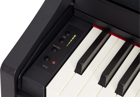 Roland RP102-BK по цене 149 400 ₽