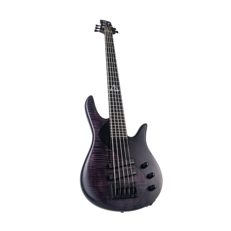 Spector Legend 5 Standard Black Stain по цене 74 900 ₽