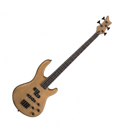 Dean E1PJ VN по цене 35 550 ₽