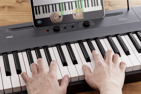 Korg L1 Liano MG по цене 46 000 ₽