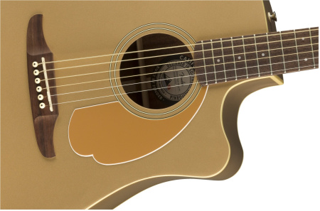 Fender Redondo Player Bronze Satin по цене 71 000 ₽