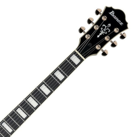 Ibanez AF95-BS по цене 79 000 ₽