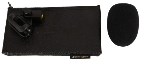 Lewitt MTP250DMs по цене 10 050 ₽