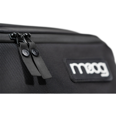 Moog Subsequent 37 SR Case по цене 48 850 ₽