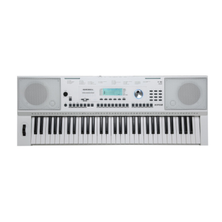Kurzweil KP110 White по цене 32 400 ₽